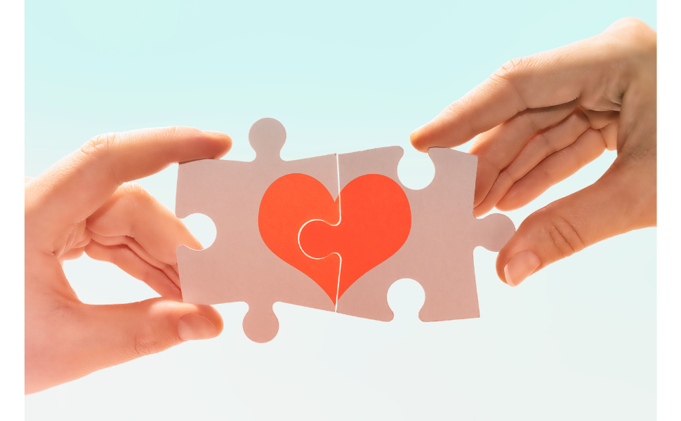 Compatibilité avec Différentes Litières